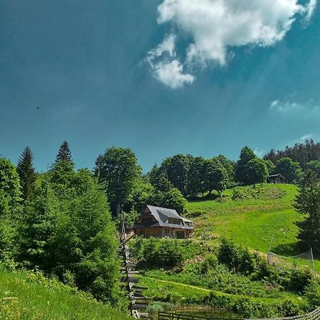 Domek Na Wypasie Jugów エクステリア 写真